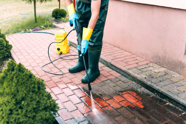 Best Solar Panel Cleaning  in Ada, OH
